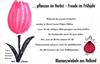 Blumenzwiebel aus Holland 1961 105.jpg